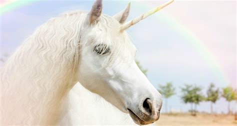 what is a unicorn in the dating world